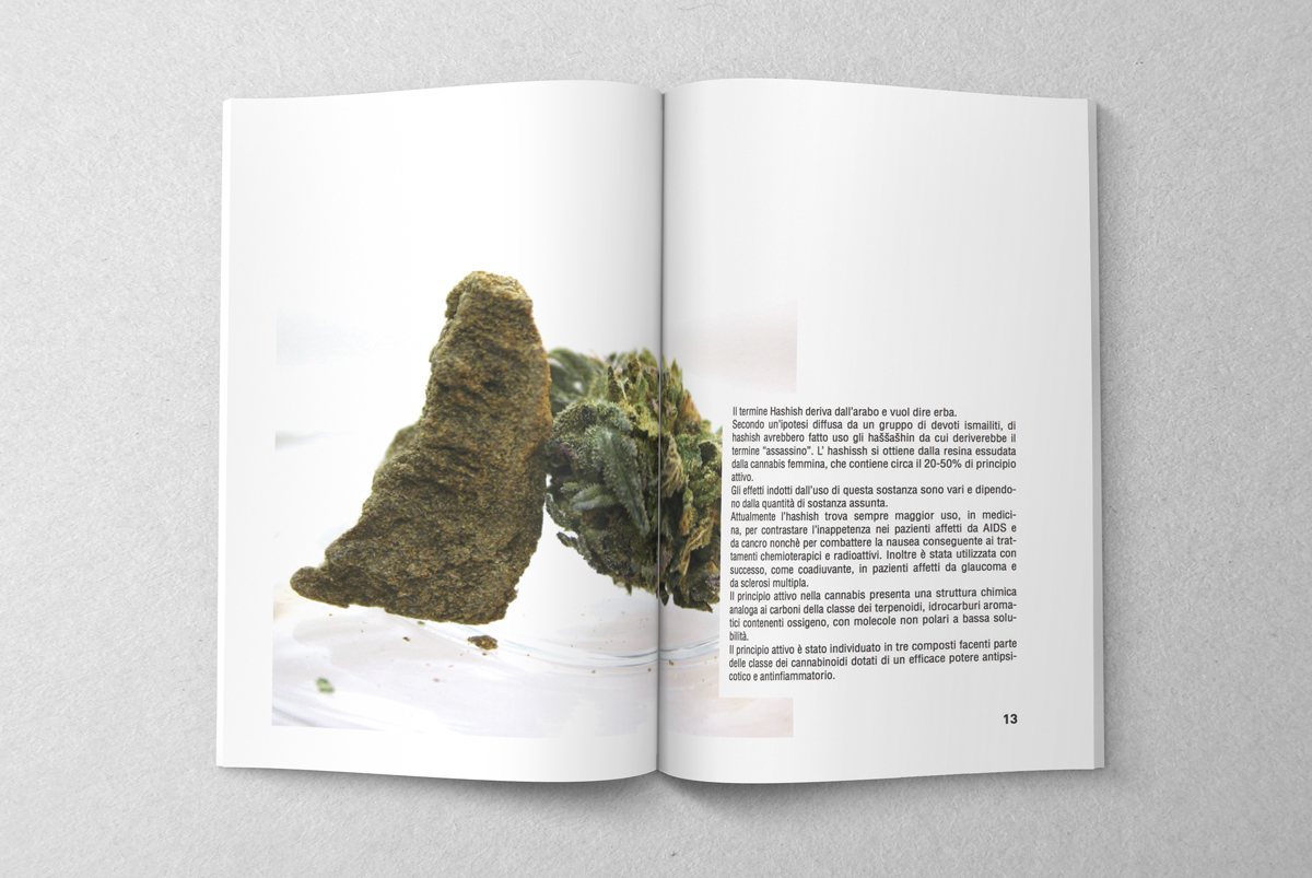 editorial design  book weed Pharmaceutical pharmacy graduation thesis marijuana cannabis