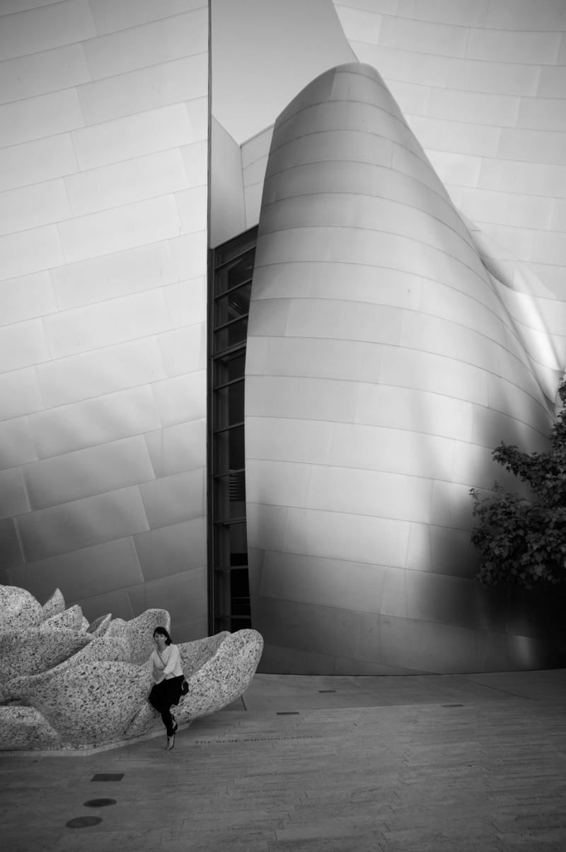 concert hall Frank Gehry los angelos California sculptural building sculpture music hall Walt Disney