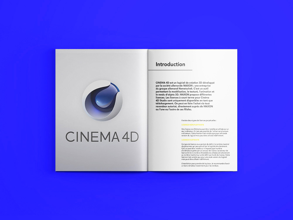 3D cinema4d maxon rapport mise en page colore Shaders apprentissage
