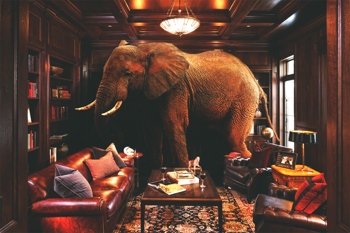 elephant room photoshop idiom metaphor problem