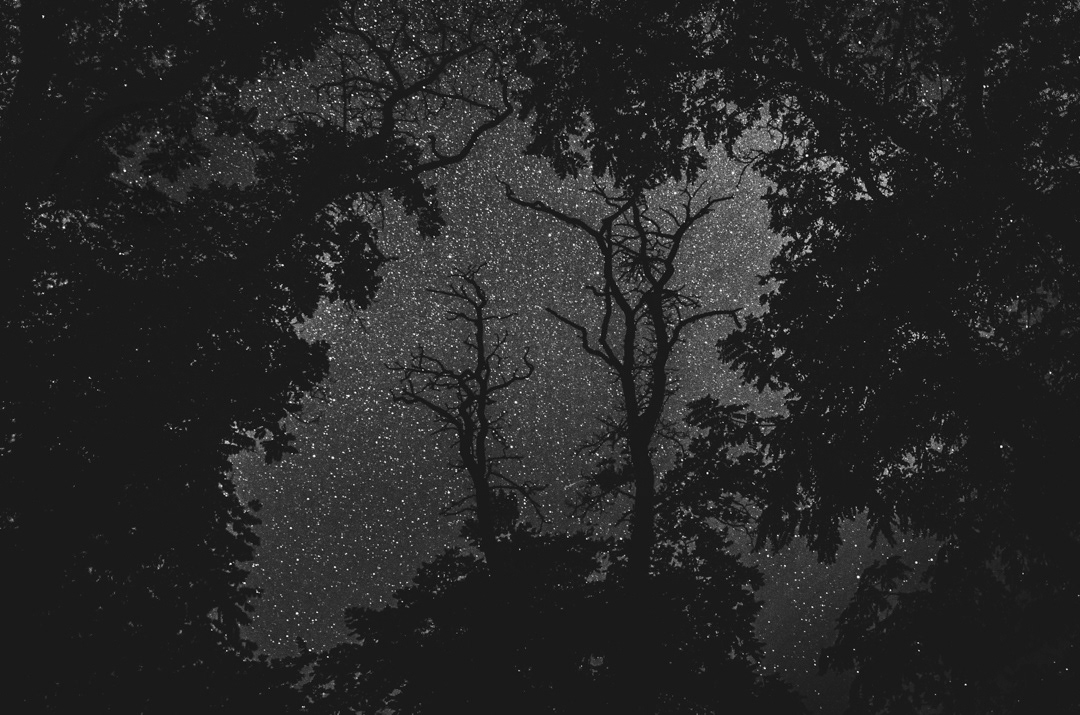 Landscape Nature time stars pictorialism night fine art trees monochrome mood