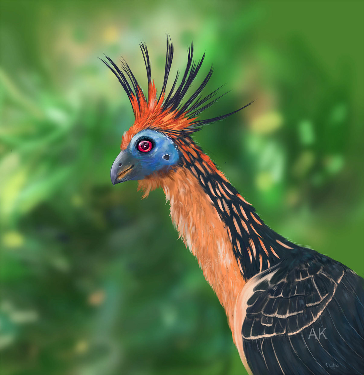 animals avian bird digital painting Dinosaur hoitzin portrait