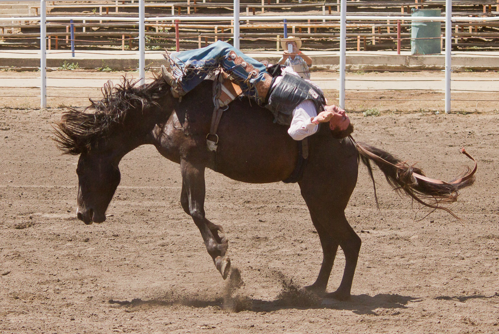 rodeo action photography horses COWBOYS