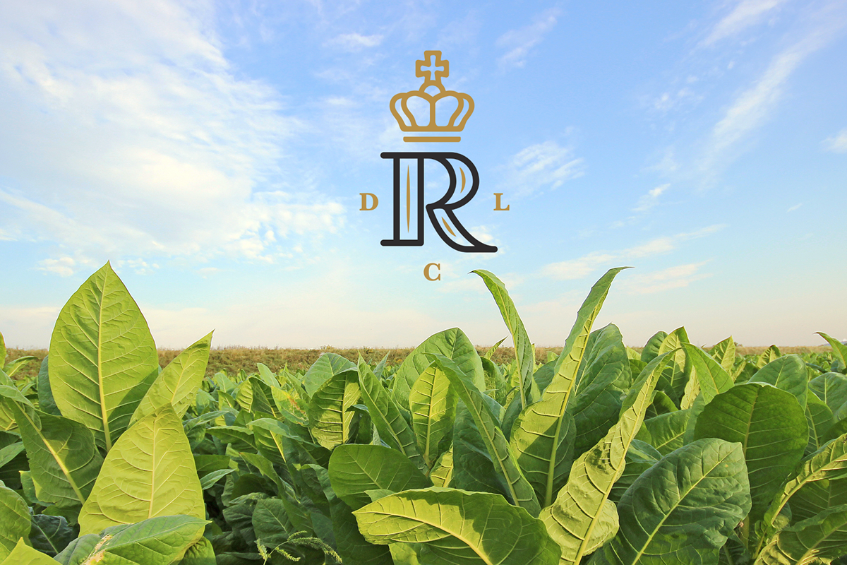 delosReyes cigars hueso rafamiguel Rafa reyes crown logo