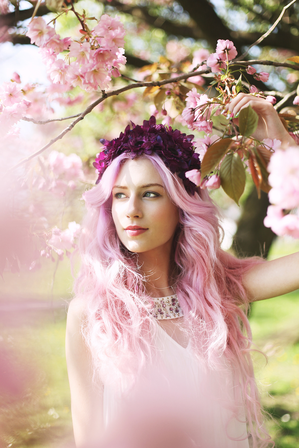 spring blossom fairy fantasy pink Colourful 