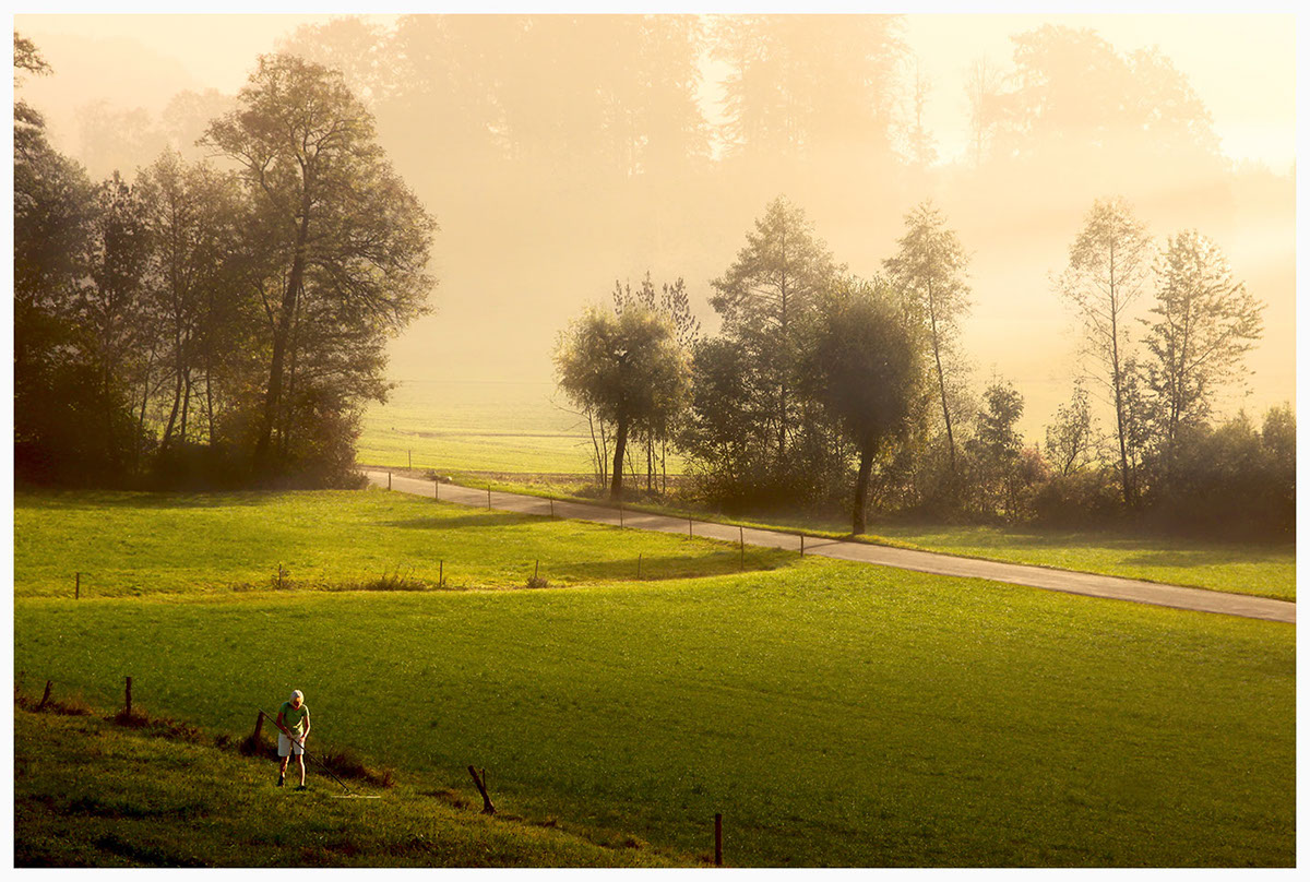 fog Landscape Switzerland