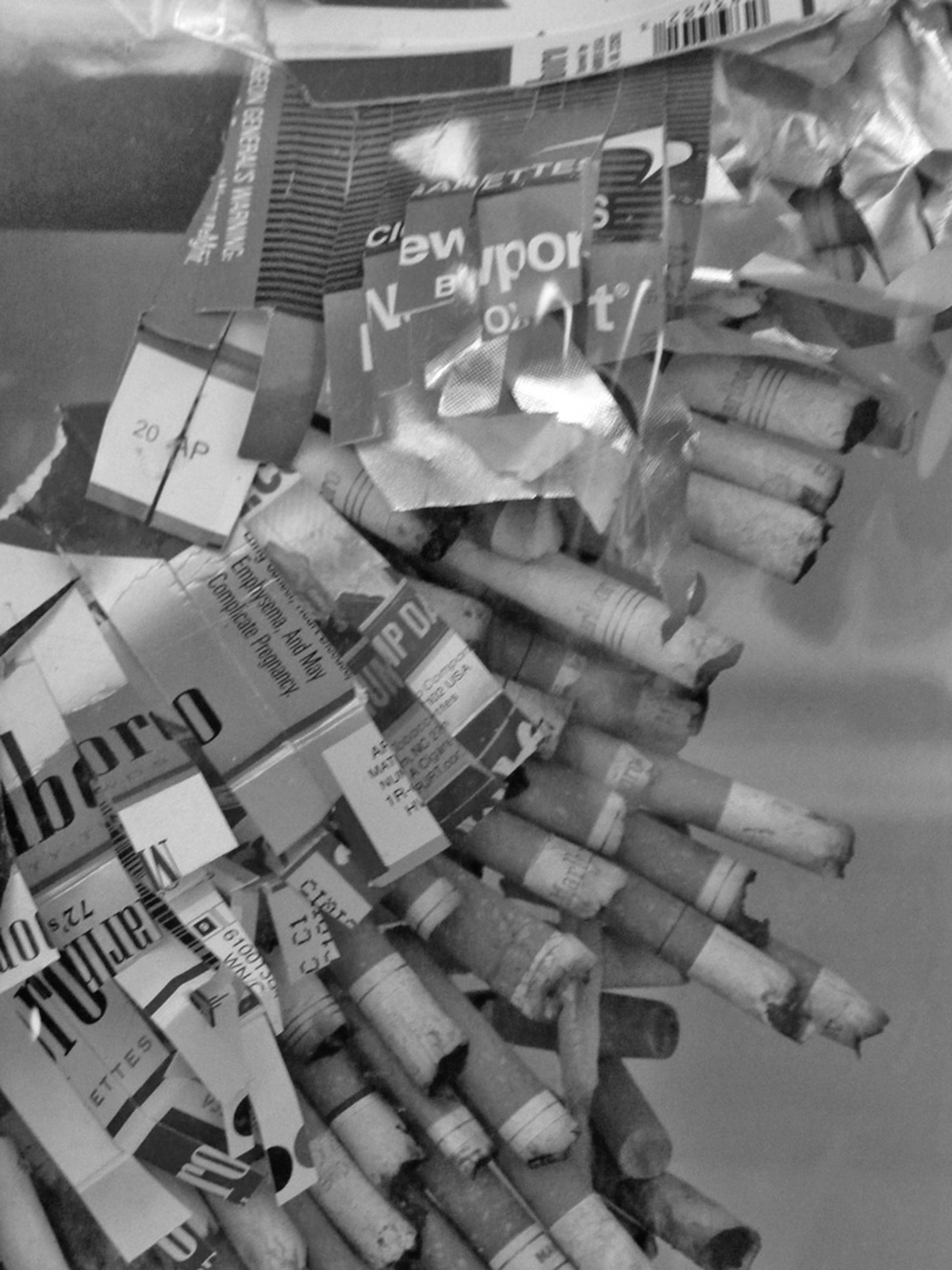 cigarettes antlion receipts moths