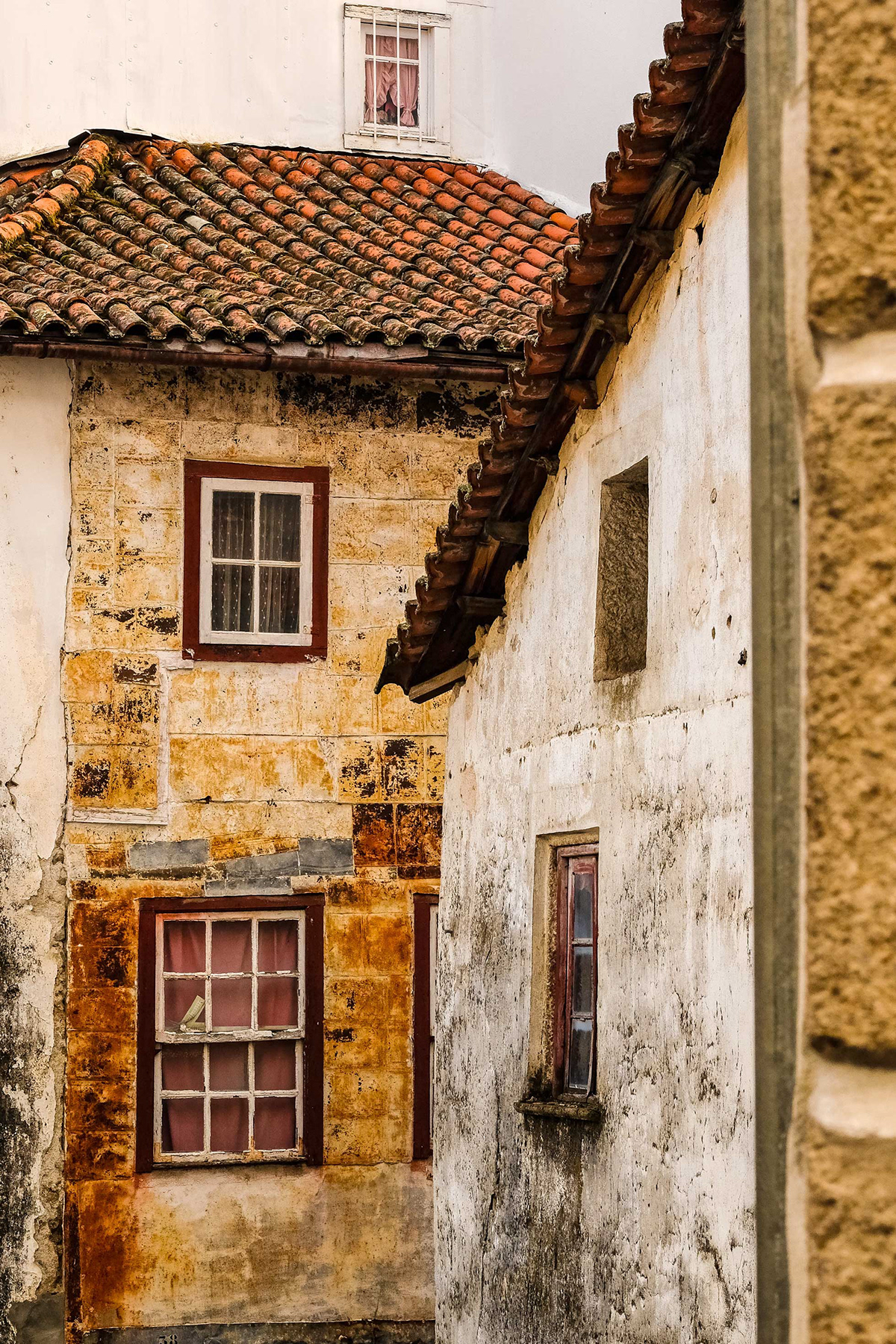 Portugal windows fujifilm Photography  Fotografia abandonadas lost places