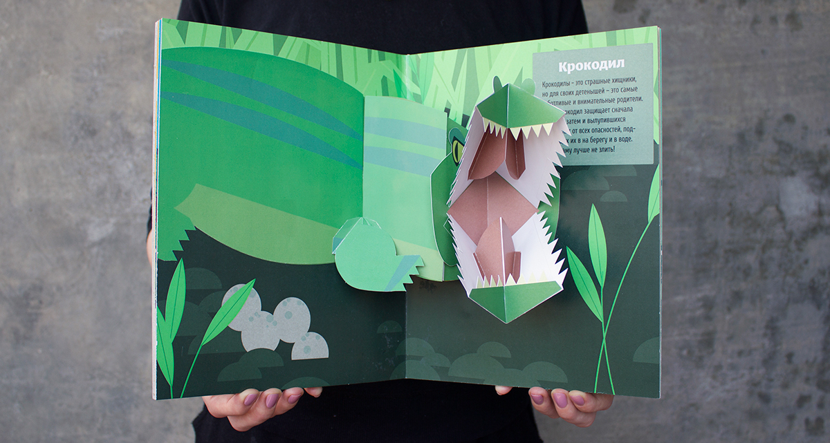 pop-up book book книга-панорама Книжный дизайн детская книга geometric flat