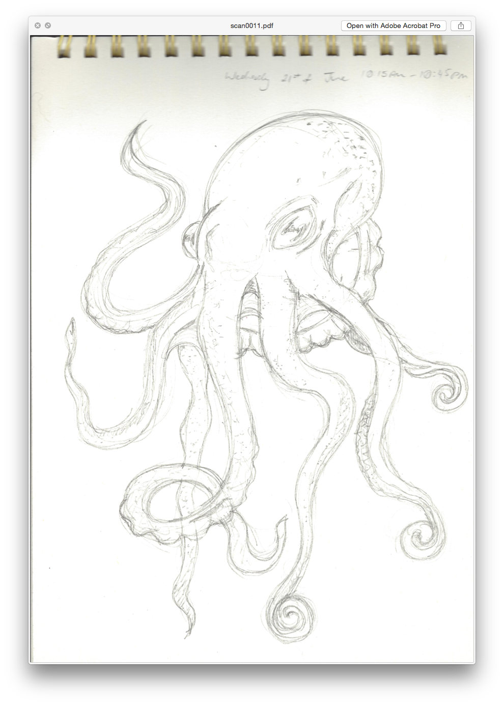 octopus Blue Rings vectors sketch