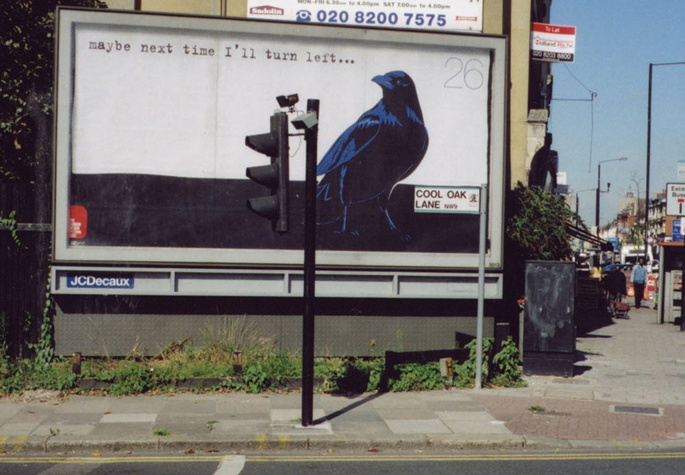 billboard crow story bird