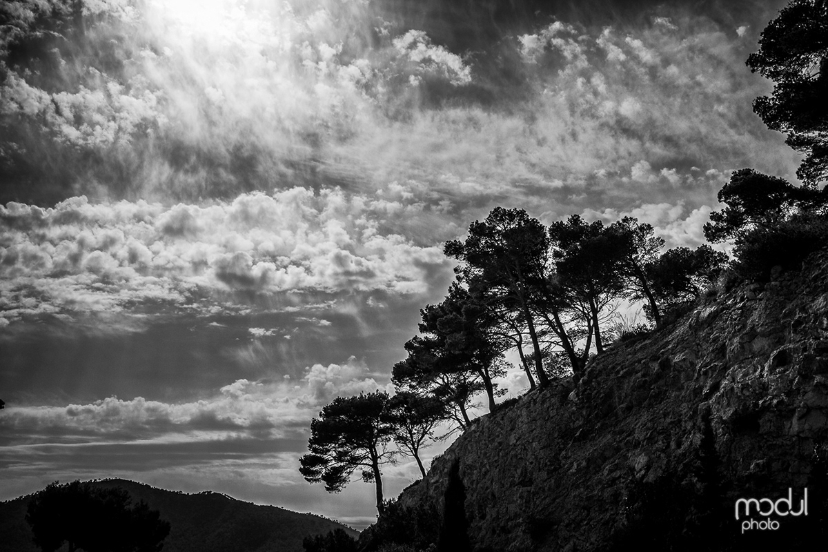 black & white  landscape  nature  mallorca Travel Outdoor