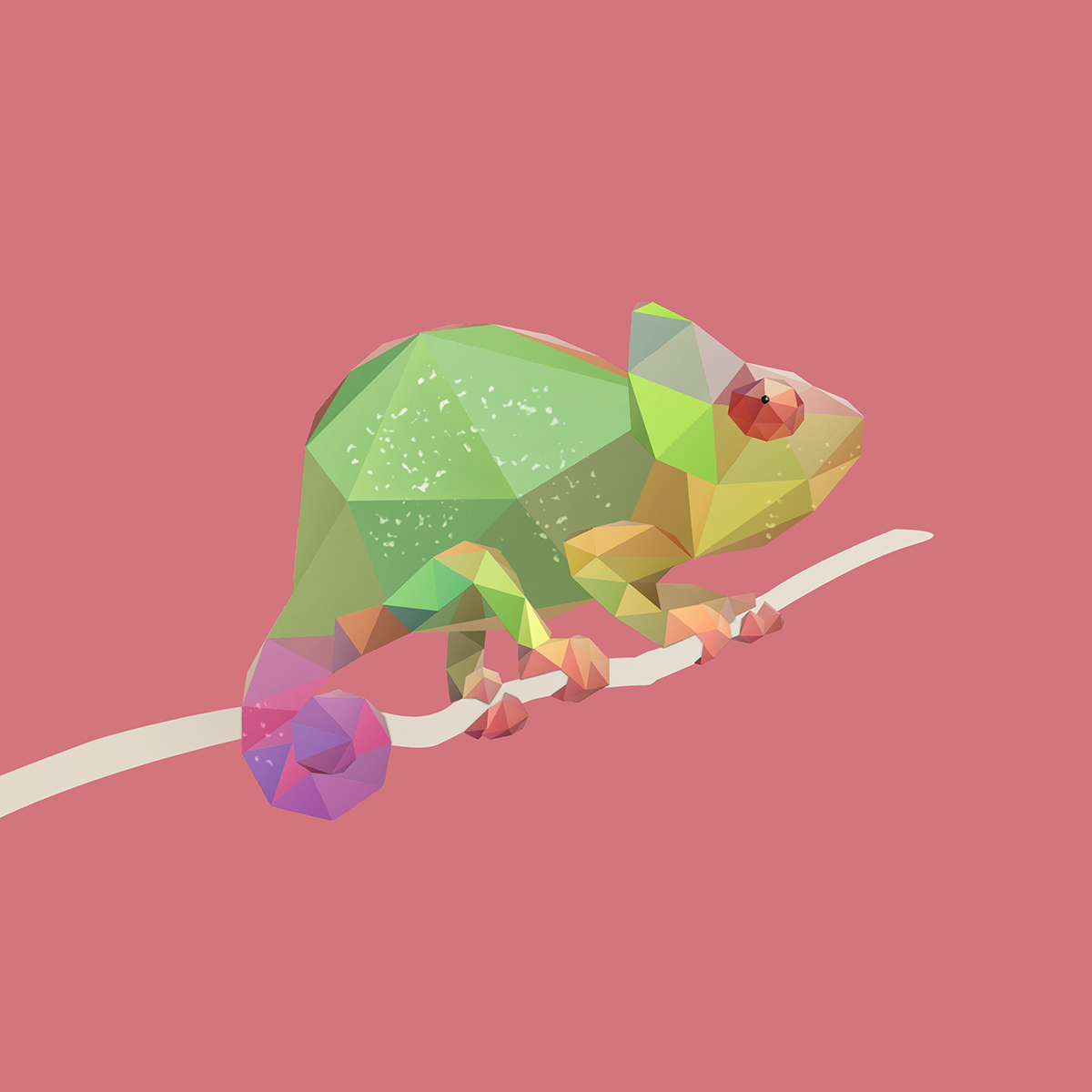 photoshop inspire Behance dribbble low polygon vector art Low Poly chameleon animals cute animals illustrations