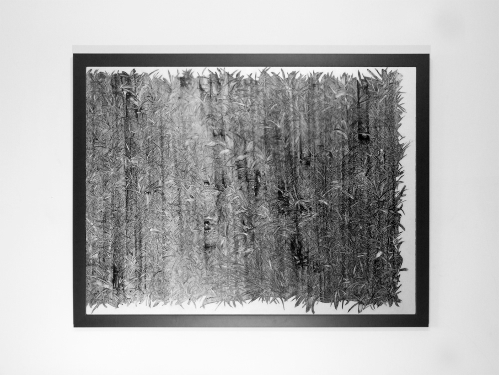Alexander Cozens Landscape grass tactile calligraphic lito lithographic crayon True Grain