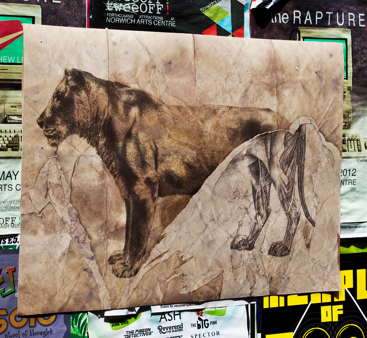 poster animals extinct design ripping Tearing endangered Exhibition  stamp ticket