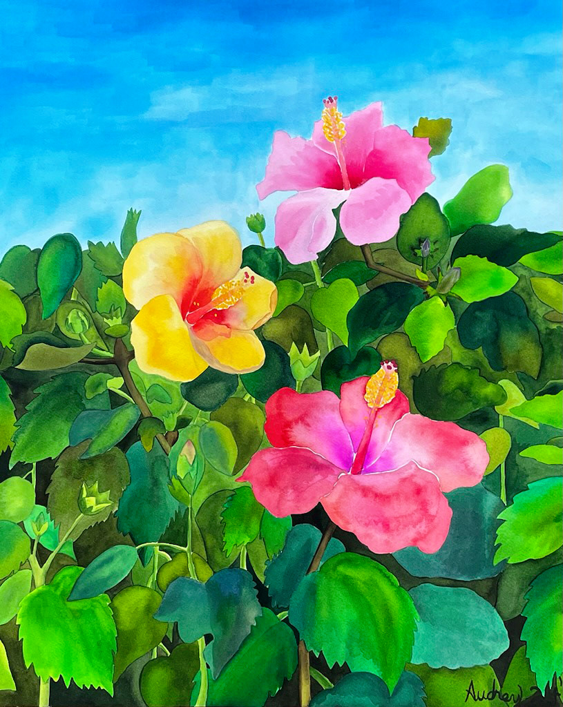 art watercolor hibiscus tropicalplants