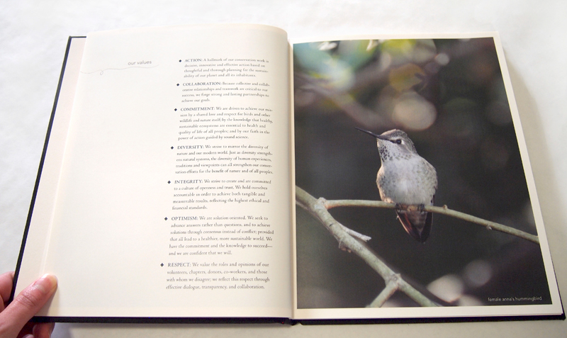 audubon Promotion kit box folio nonprofit exclusive book letter naturalist birds wildlife conservation kimberly low