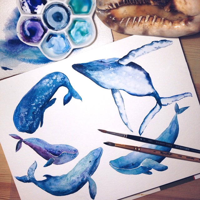 watercolor aquarelle Whale Ocean sea animals masala_arts