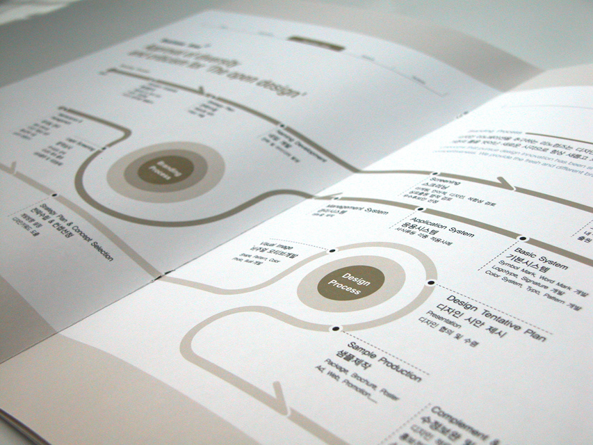 book design brochure design flyer Identity Design