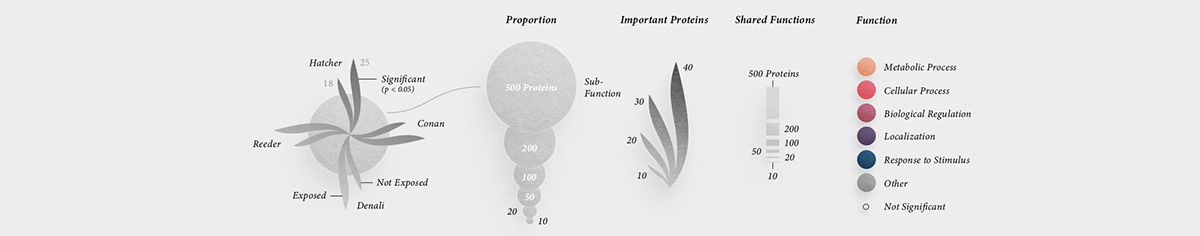 Legend for the infographic data visualization (chord diagram dataviz) on wheat defense proteins