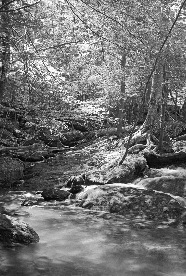 Cunningham Falls State Parks maryland rocks trees water Nature b&w photography infrared photography landscapes