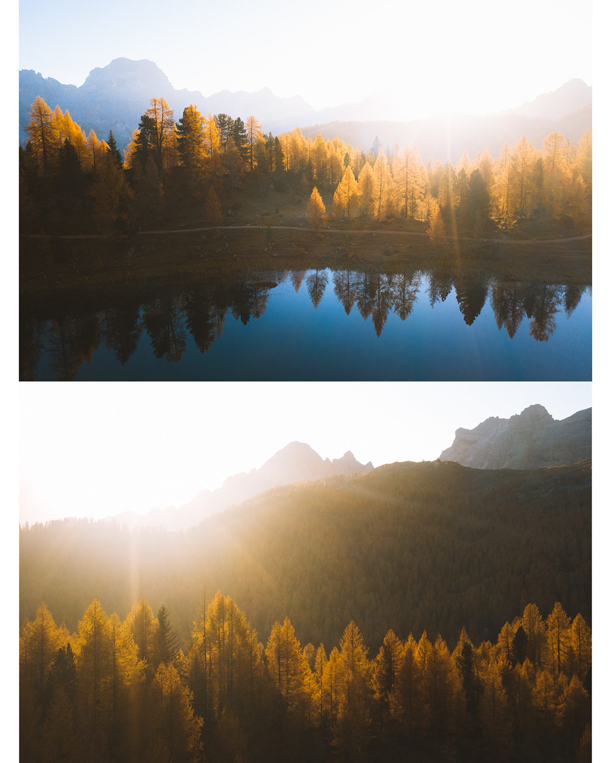 larch autumn dolomites Italy alps mountains drone Landscape forest lake