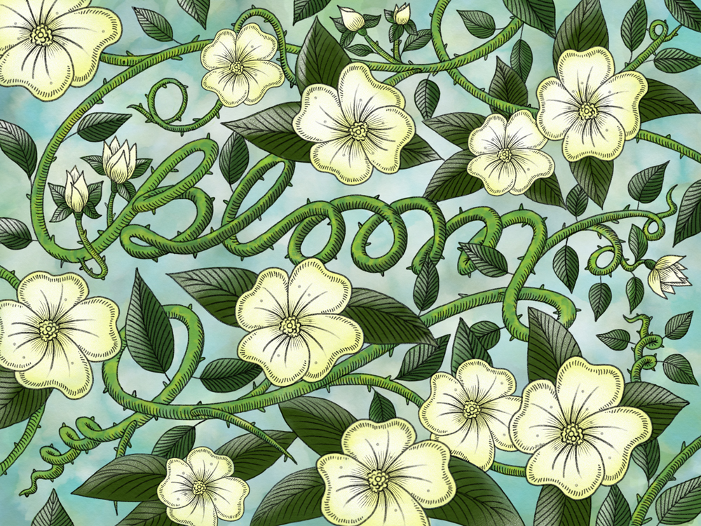 Drawing  AdobeSketch ILLUSTRATION  Flowers adobe brushes woodcut