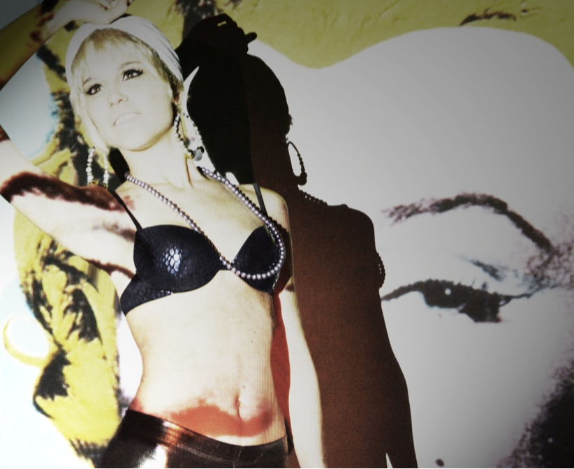 Andy Warhol edie sedgwick Fashion 