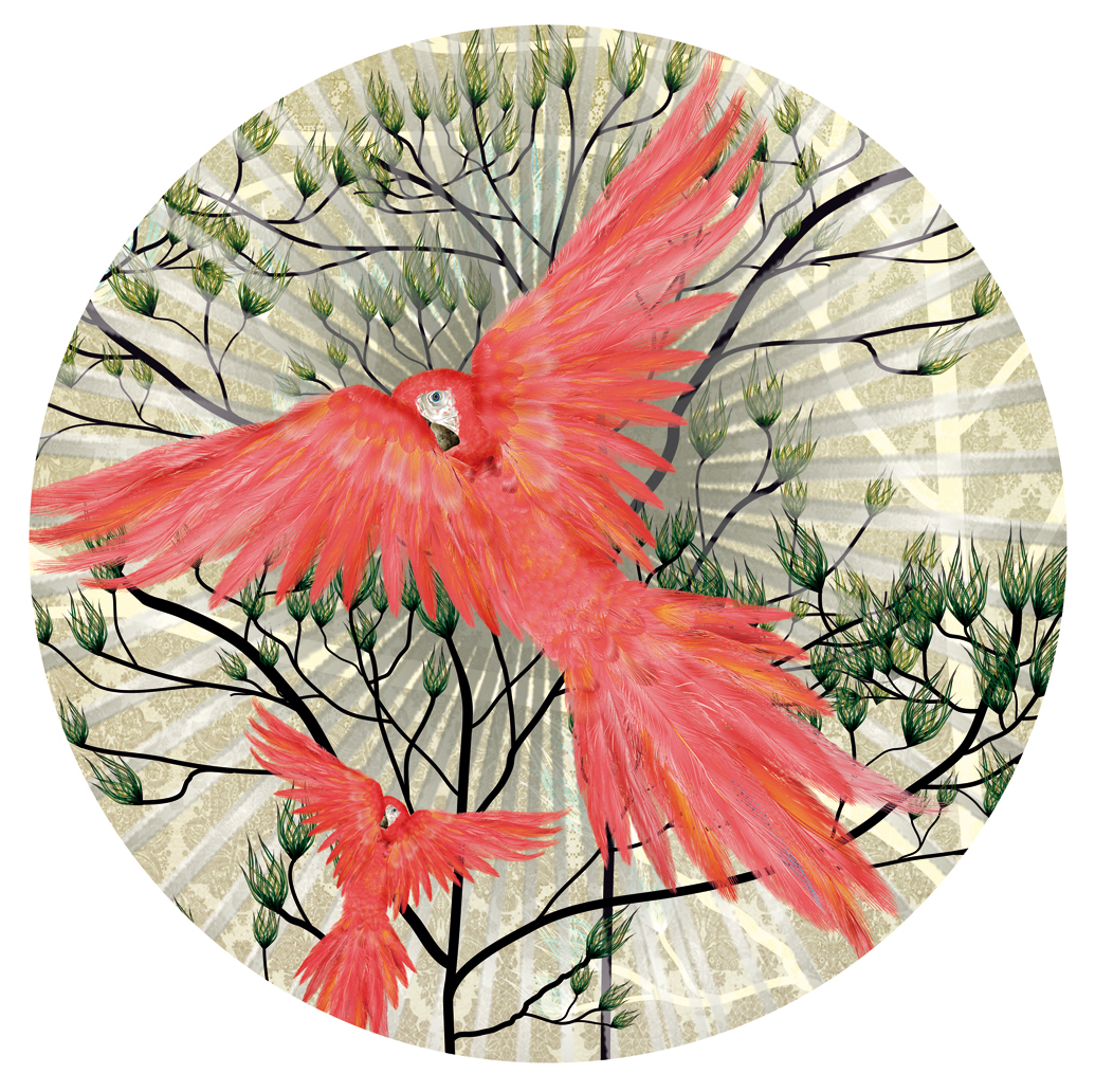 sarah arnett plants floral Flowers Clothing perfume pattern graphic colour animals parrot