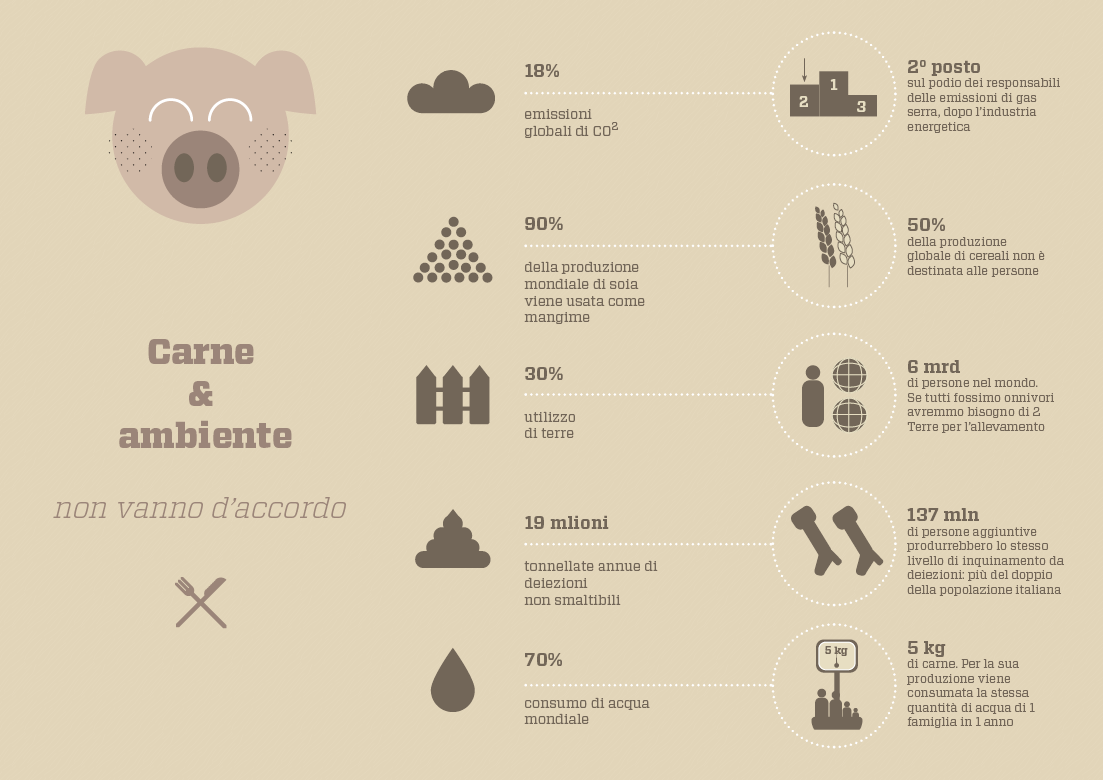 infographic veg Vegetarian meat eco Wellness