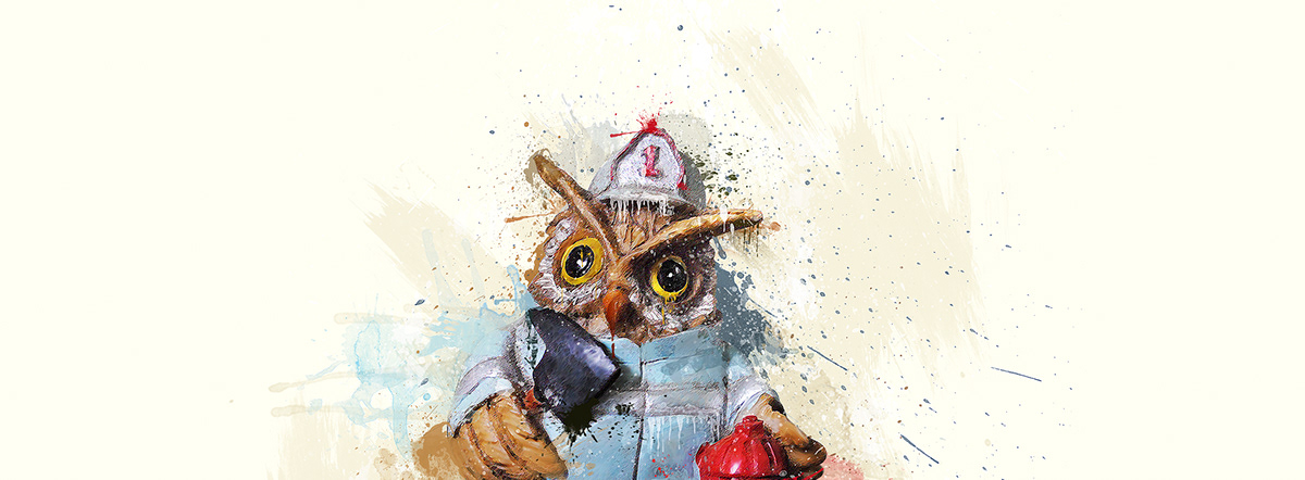 owl fireman fire animal water colors paint bird Style mix brush