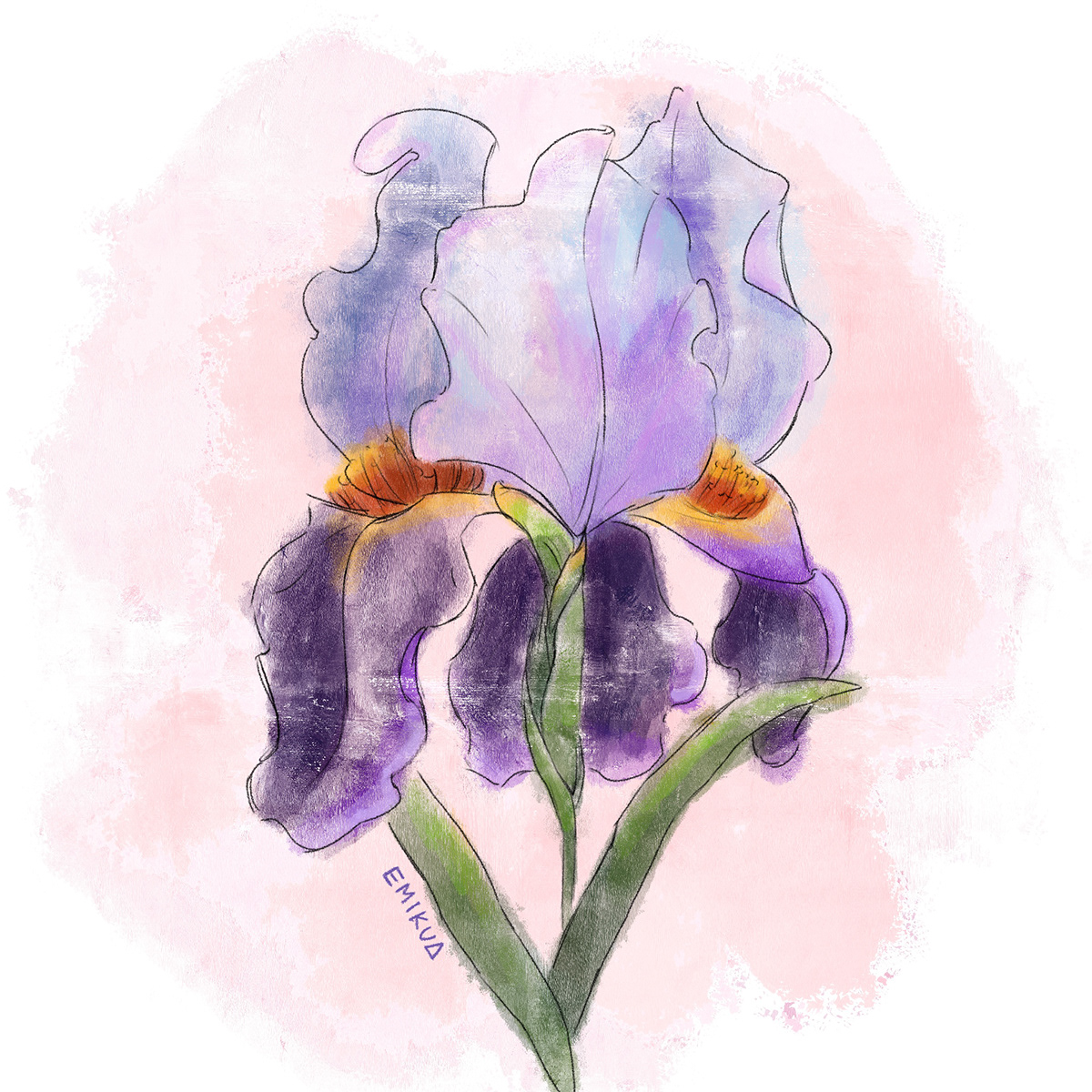 Ilustração Digital Art  Procreate digital illustration sketch painting   plantas Flores Nature beauty