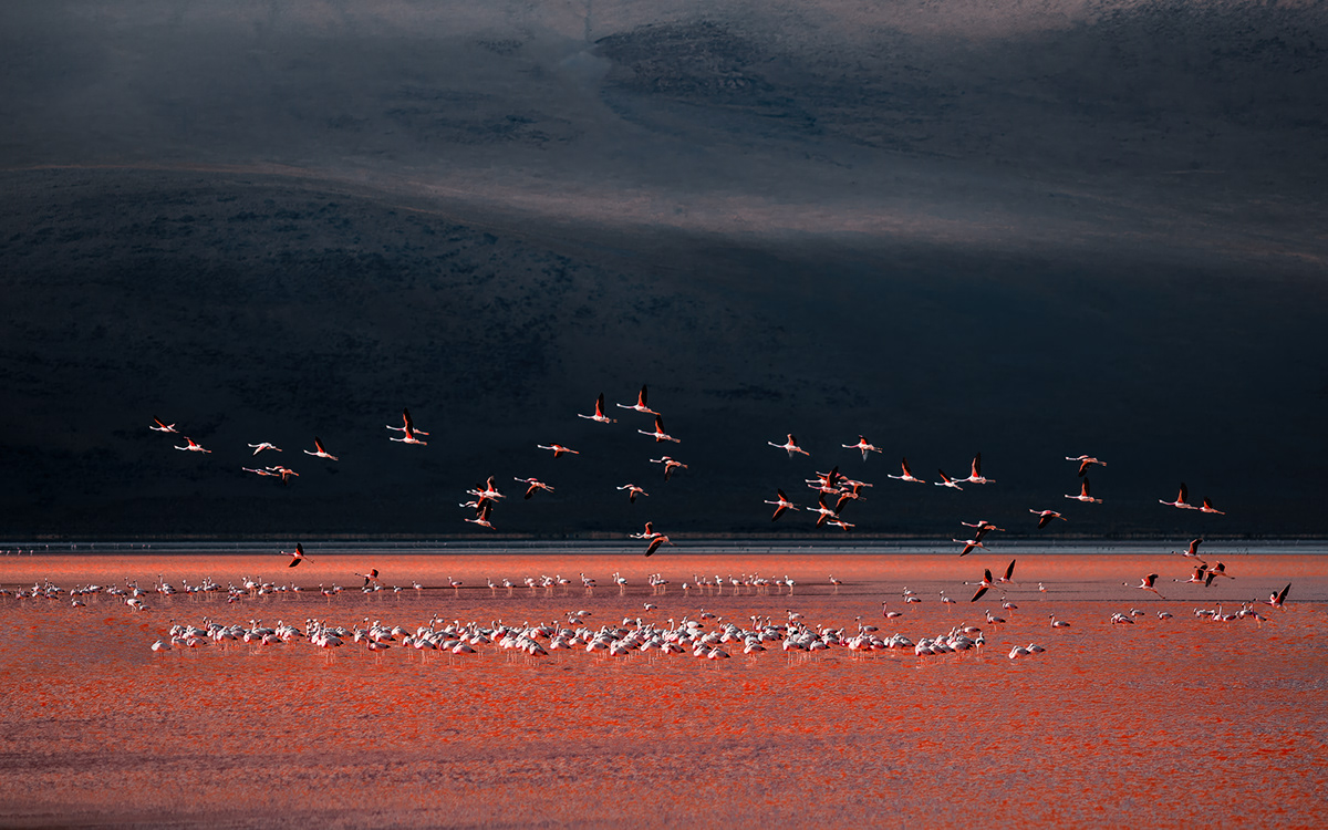 bolivia drone Karanikolov Photography  topdown travel photography Uyuni