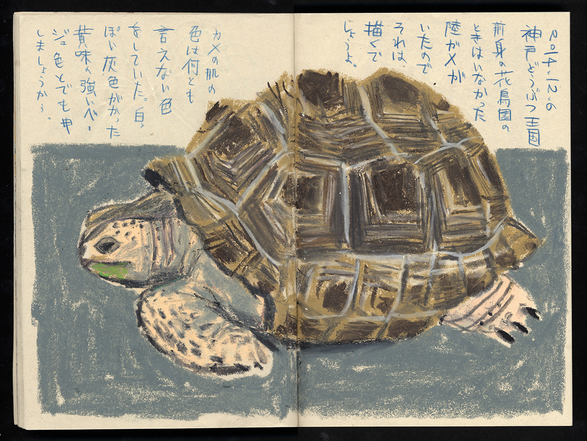 sketch スケッチ sketchbook zoo Botanical garden aquarium Landscape kyoto Studio-Takeuma