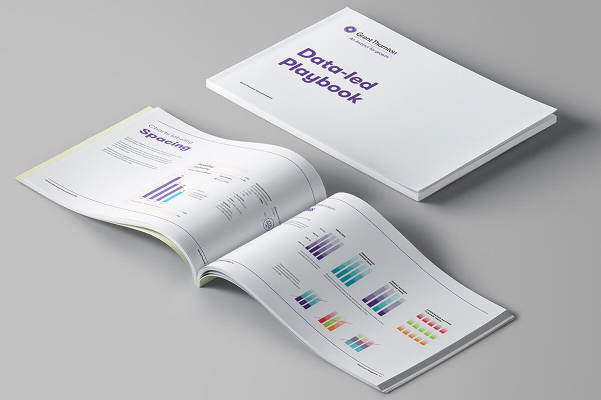 data visualization branding  Brand Design editorial design  InDesign Layout editorial design visual identity barnd guideline