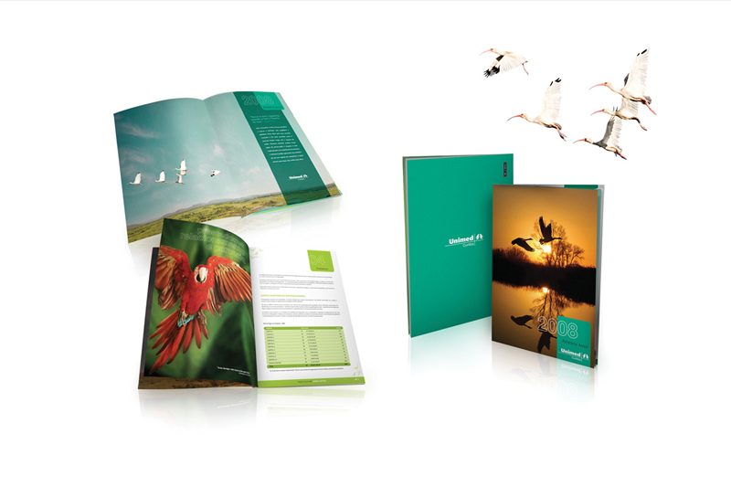 annual report brochure book Booklet medical birds editorial design