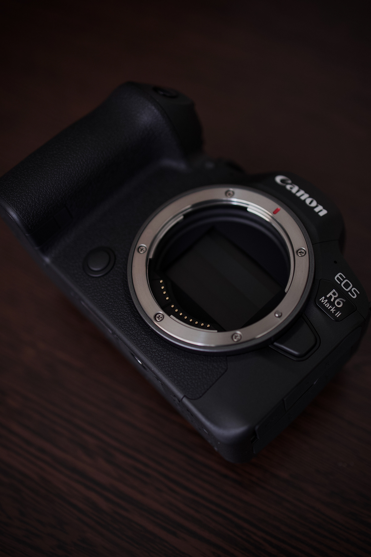 Canon canon camera Canon EOS R canon EOS r6 mkii