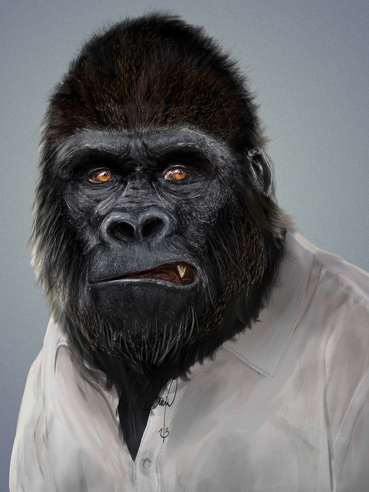 ape affe portrait digital