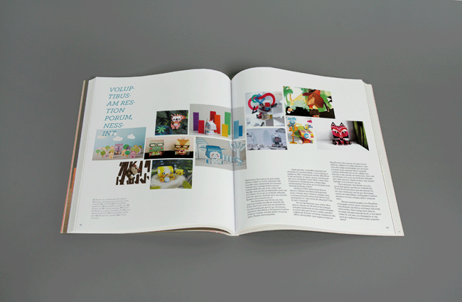 magazine  graphic design investigation Layout Design