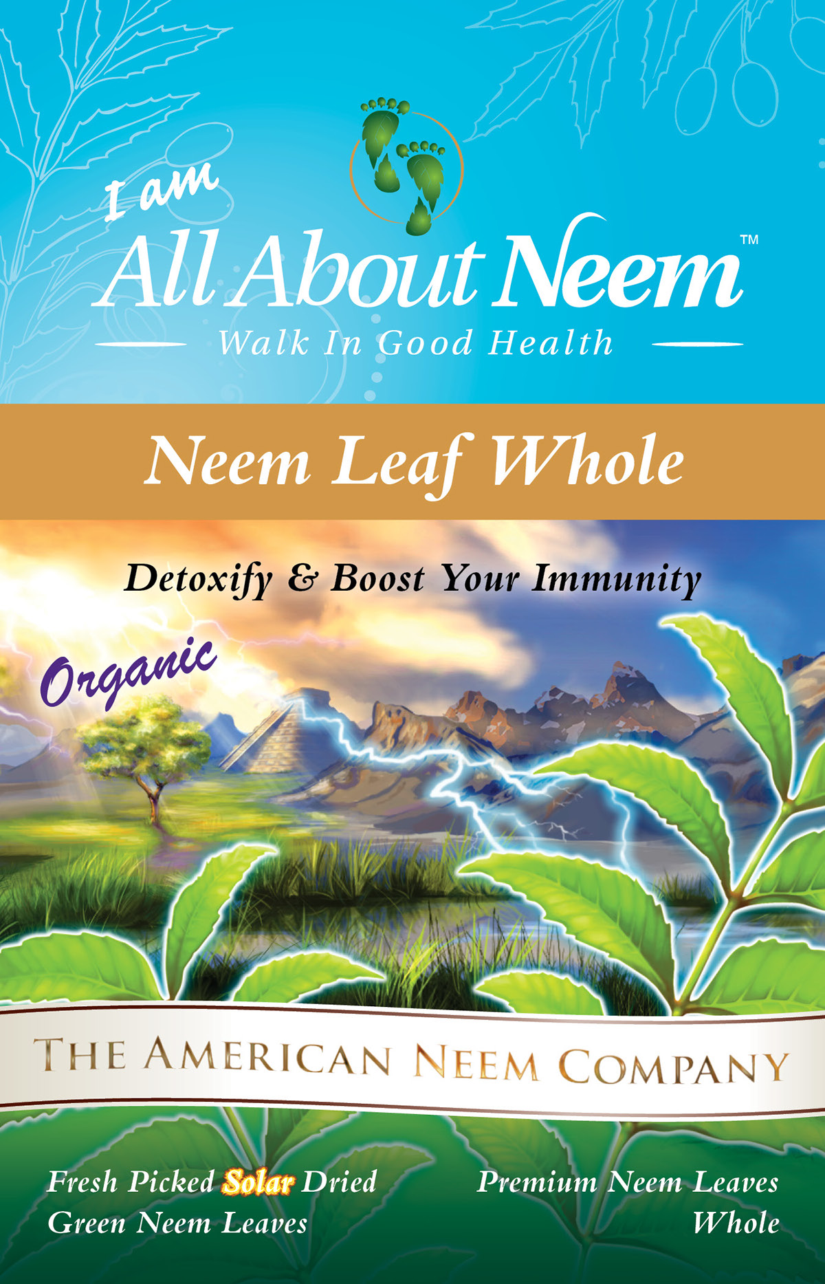 Adobe Portfolio neem moringa tea leaves Neem leaves all about neem