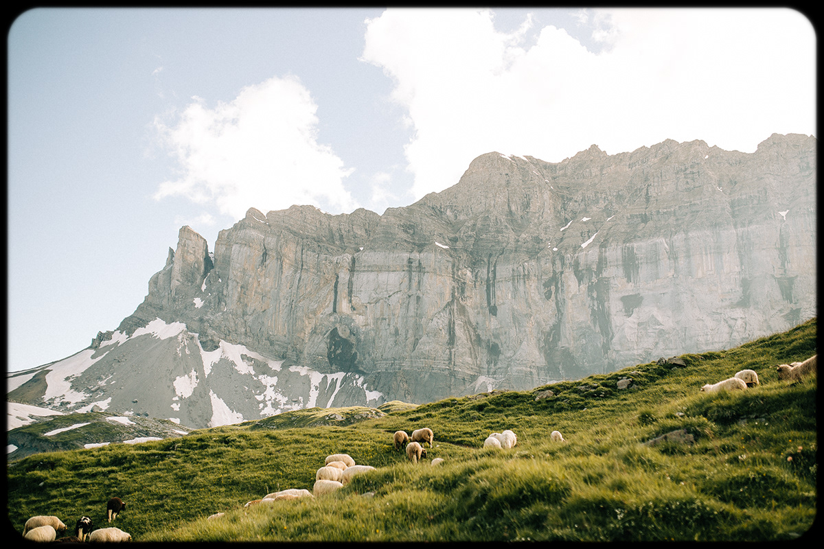 alps Ambient Canon cinematic Film   Landscape lightroom mood mountains scene