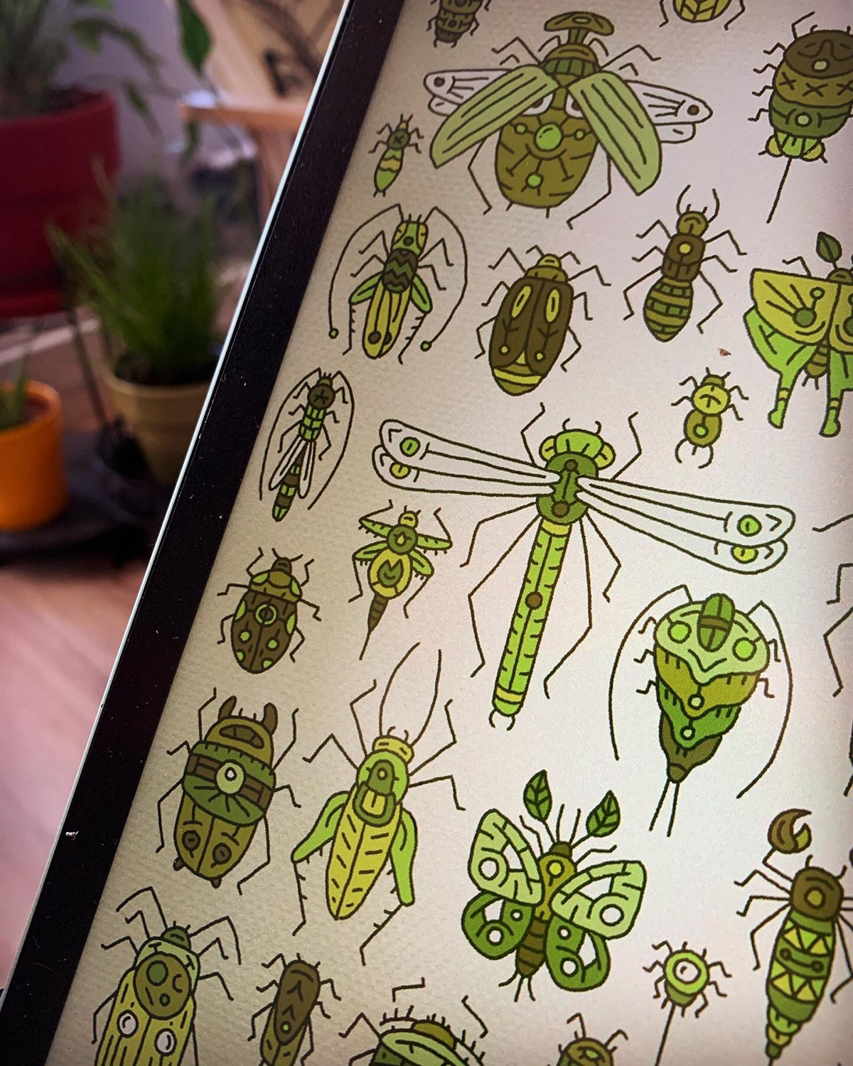 Insects Collection ILLUSTRATION  Procreate green iPad digital illustration Drawing  gaomico