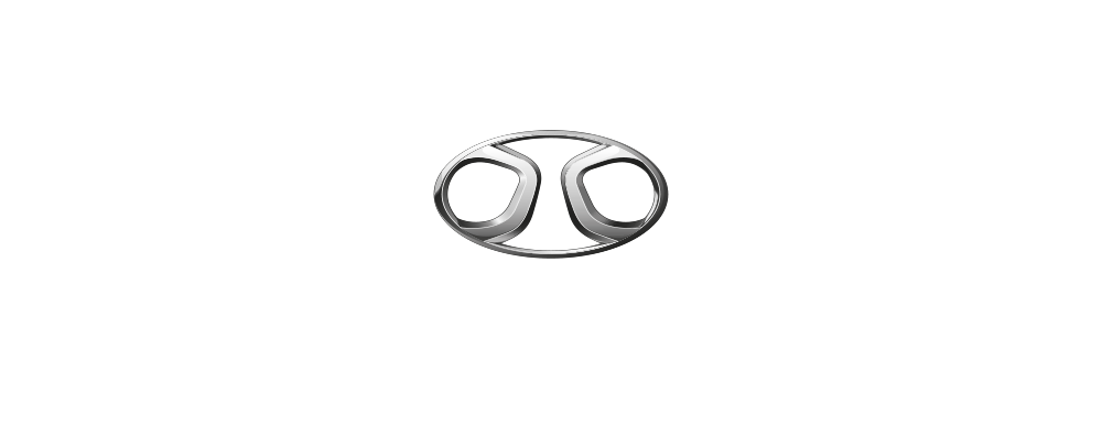 car BAIC Website Auto chile