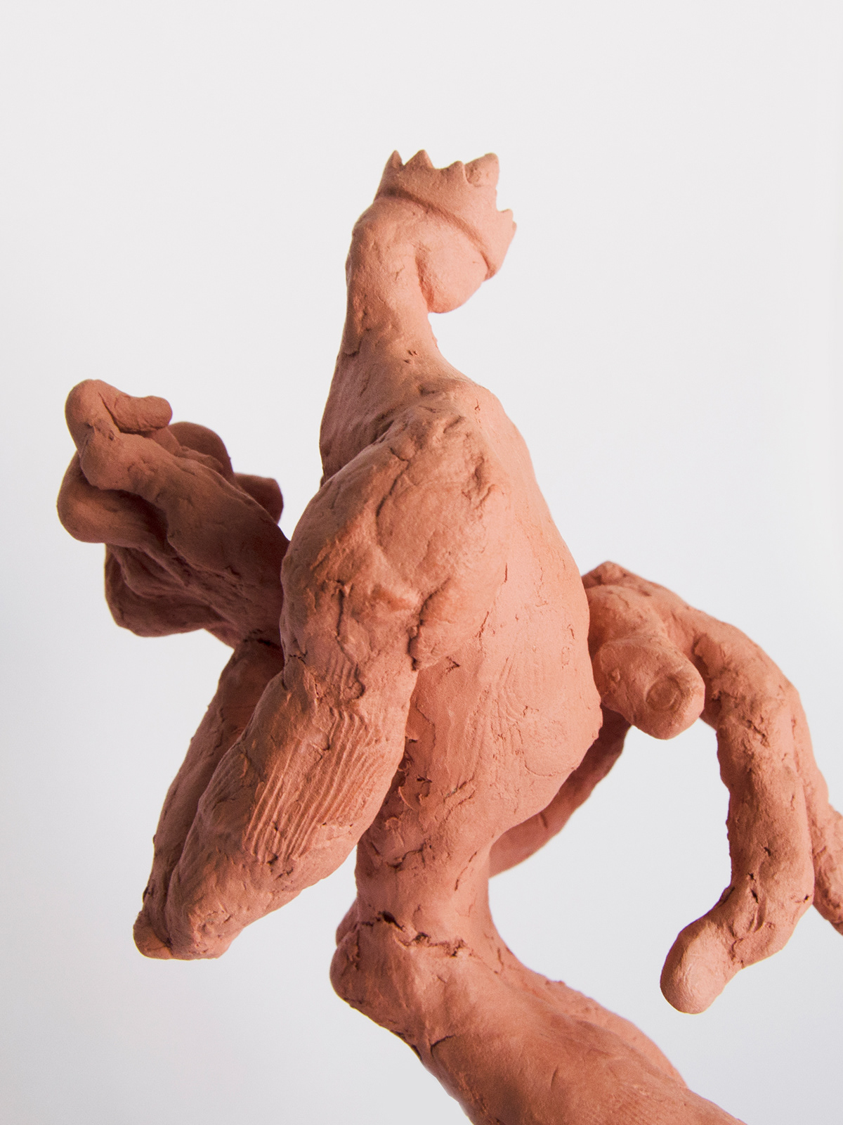 Barcelos Barro clay Clay Modelling escultura Galo sculpting  sculpture sculpture art sculptures