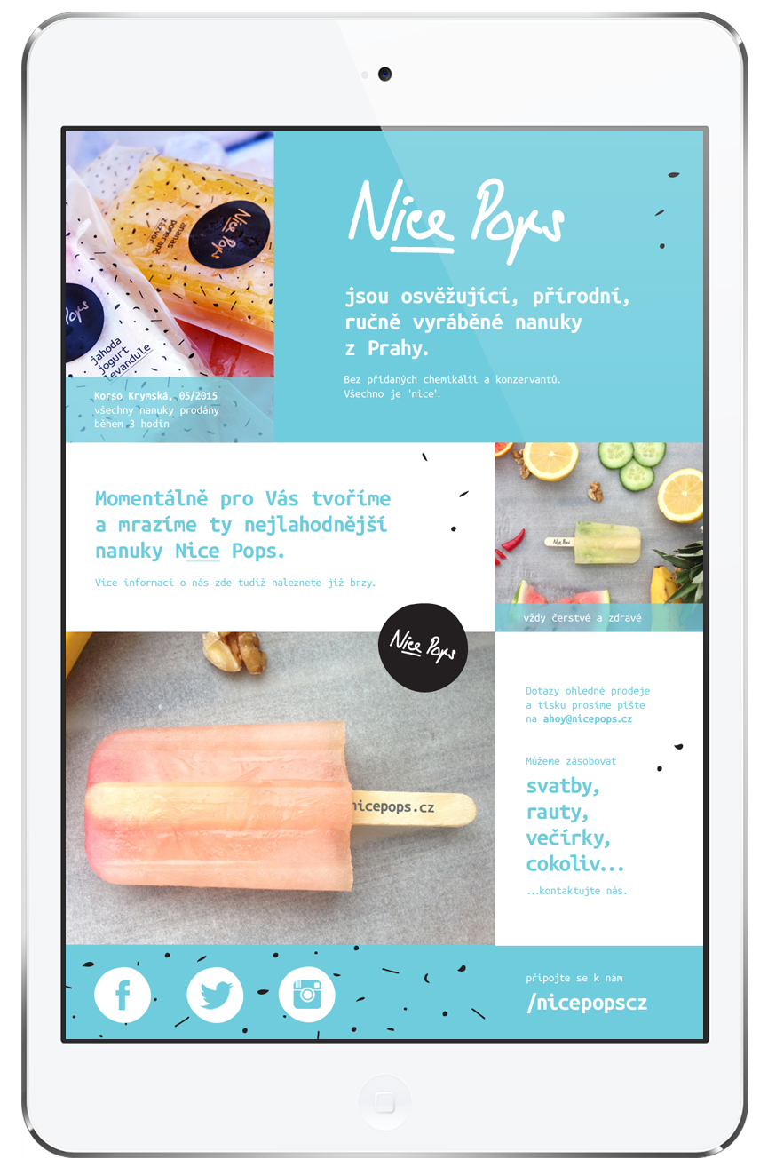 nice pops pops ice Corporate Identity home made handwriten handmade elements ingredients Food  fresh healthy brand ice lolly logo