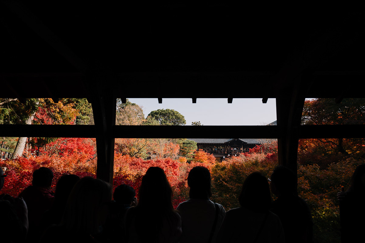 50mm summilux asph autumn japan kyoto Leica leica M leica q spring street photography Travel