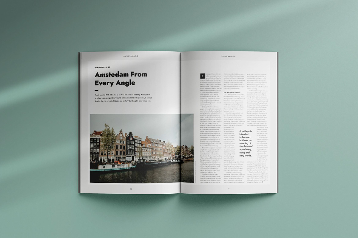 book brochure editorial editorial design  InDesign Layout magazine marketing   portfolio print
