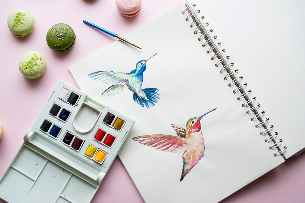 Adobe Portfolio macaron chez dodo hummingbird kolibri pattern watercolor sweet budapest Balazs Glodi