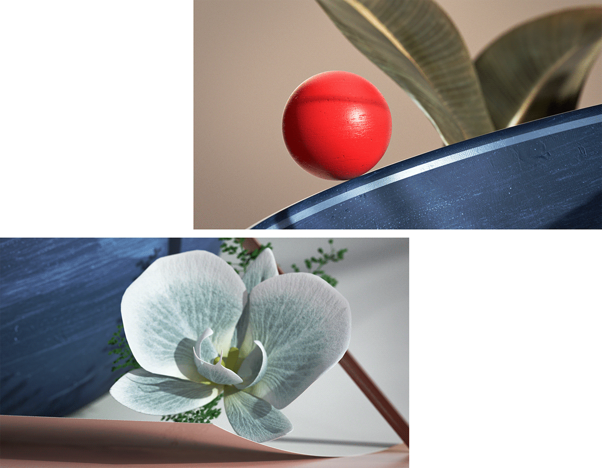 3dart c4d design ILLUSTRATION  plants photoshop CGI setdesign 3D ArtDirection