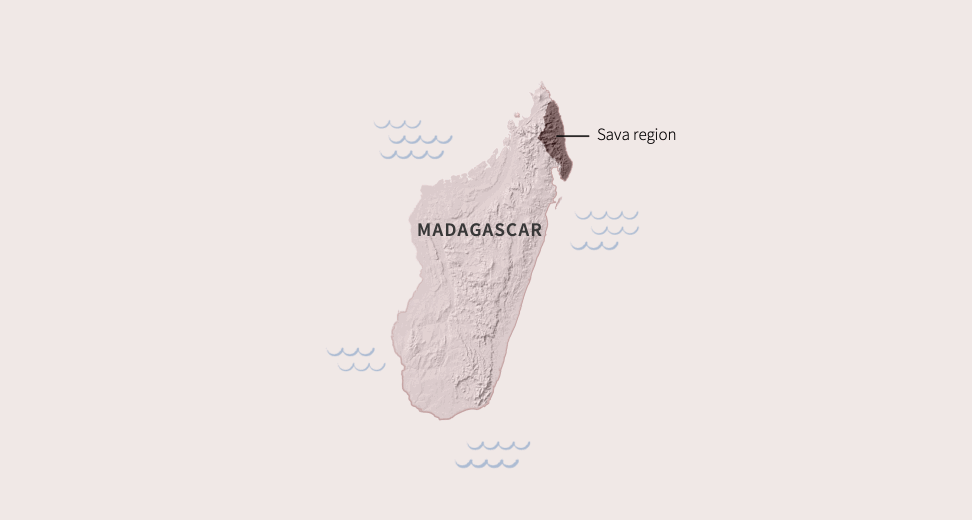 animation  journalism   madagascar map Plant vanilla waves